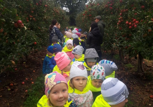 dzieci oglądają jabłonki pełne jabłek
